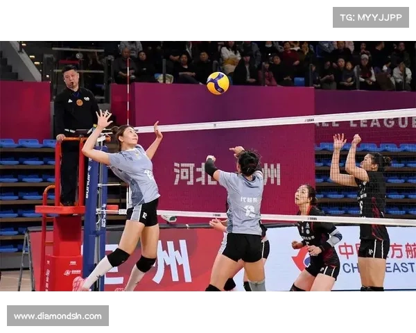 2020中国女排球赛