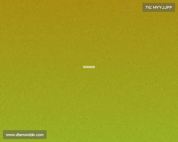 汽车赛照报考要求 汽车赛照报考要求