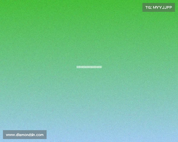 中国女排赛事报道—中国女排比赛日程