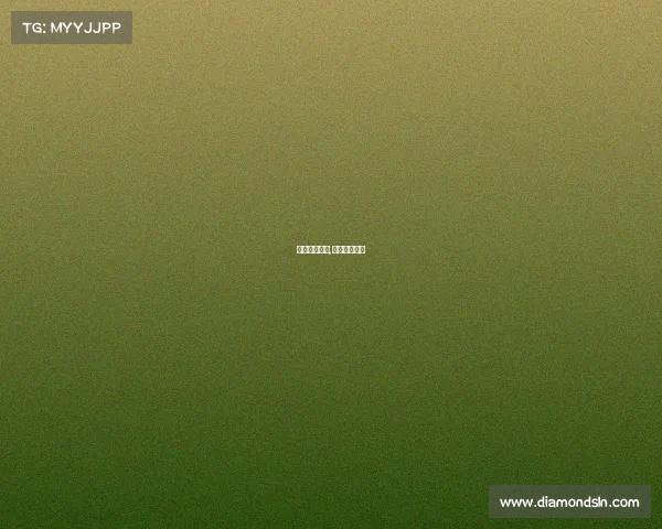 现在篮球赛事,篮球比赛赛事