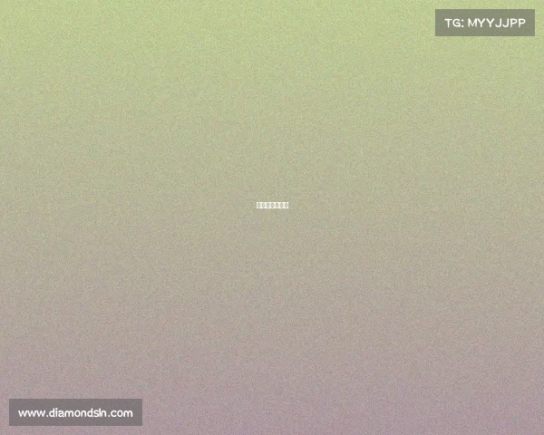 哈尔滨实时直播